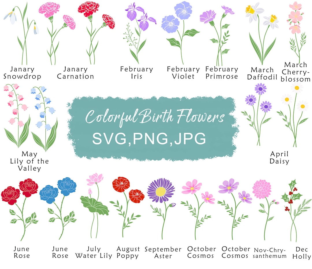 Birth Flower SVG Watercolour Birth Month Flowers Art Print PNG Painting