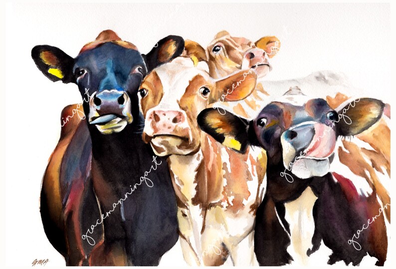 May include: A watercolor painting of four cows with brown, black, and white markings. The cows are looking at the viewer with their tongues sticking out. The painting is done in a realistic style.