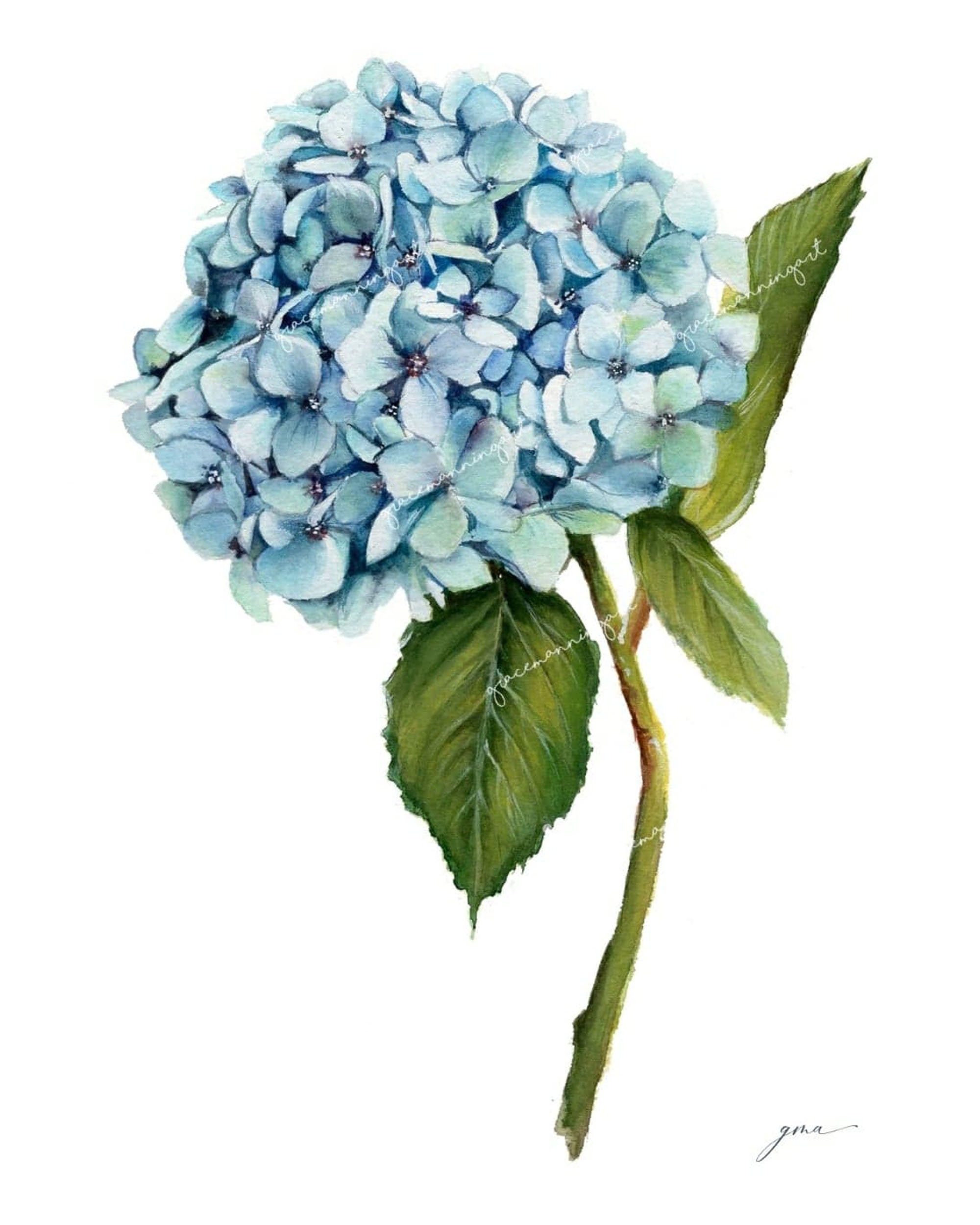 Hydrangea Wall Hanging Botanical Wall Art Watercolor Etsy