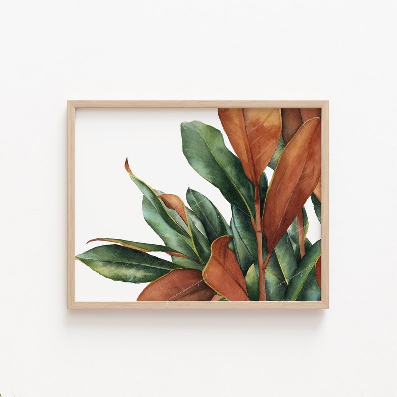 May include: A framed watercolor painting of a magnolia plant with green and brown leaves. The leaves are arranged in a cluster, with some of the leaves overlapping each other. The painting is set against a white background.