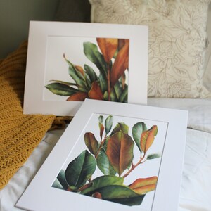 May include: Two framed botanical prints of magnolia leaves in shades of green and brown. The prints are on white mats and white frames.