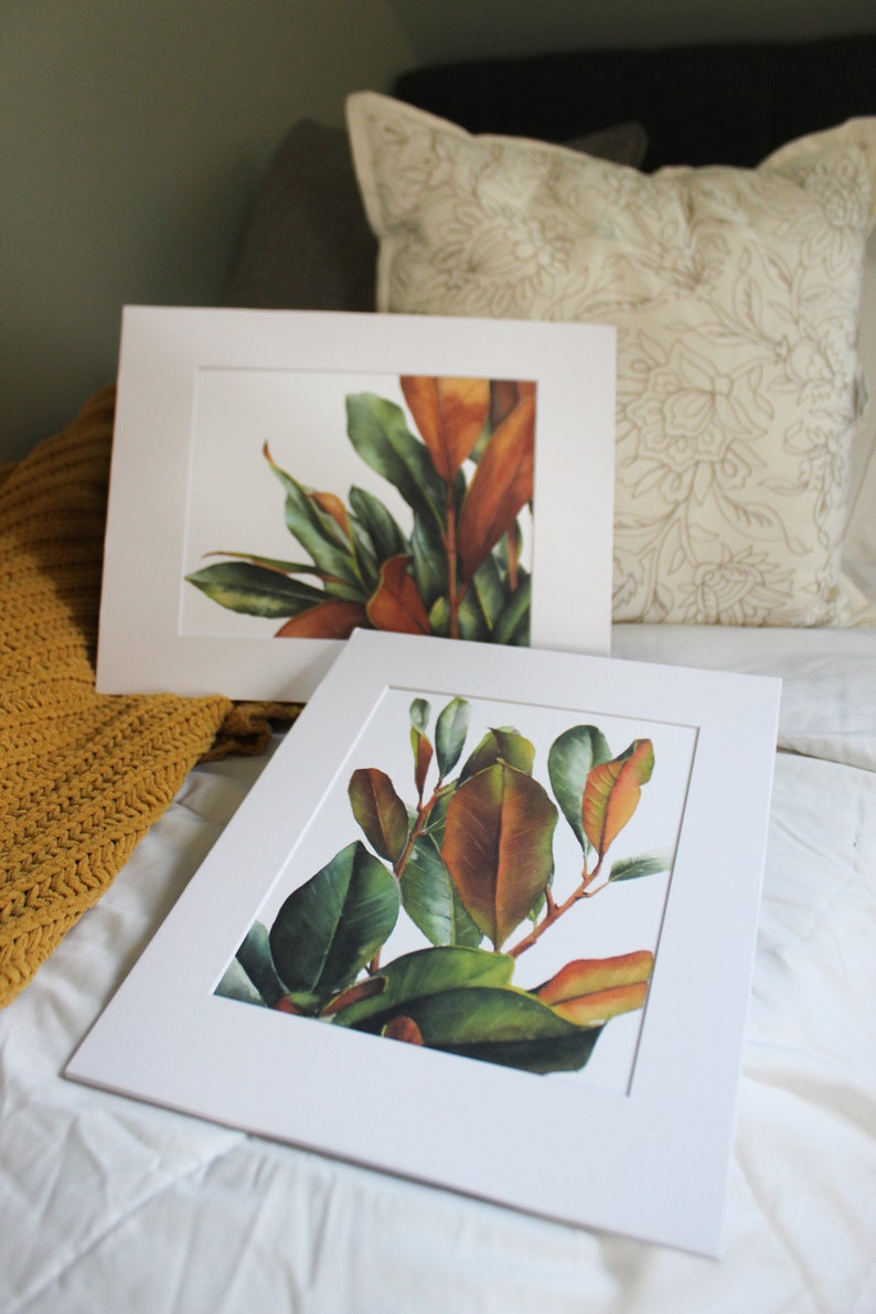 May include: Two framed botanical prints of magnolia leaves in shades of green and brown. The prints are on white mats and white frames.