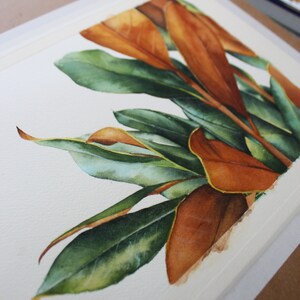 May include: Watercolor painting of a cluster of green and brown leaves. The leaves are arranged in a fan shape, with the brown leaves in the center and the green leaves surrounding them. The painting is done on a white background.