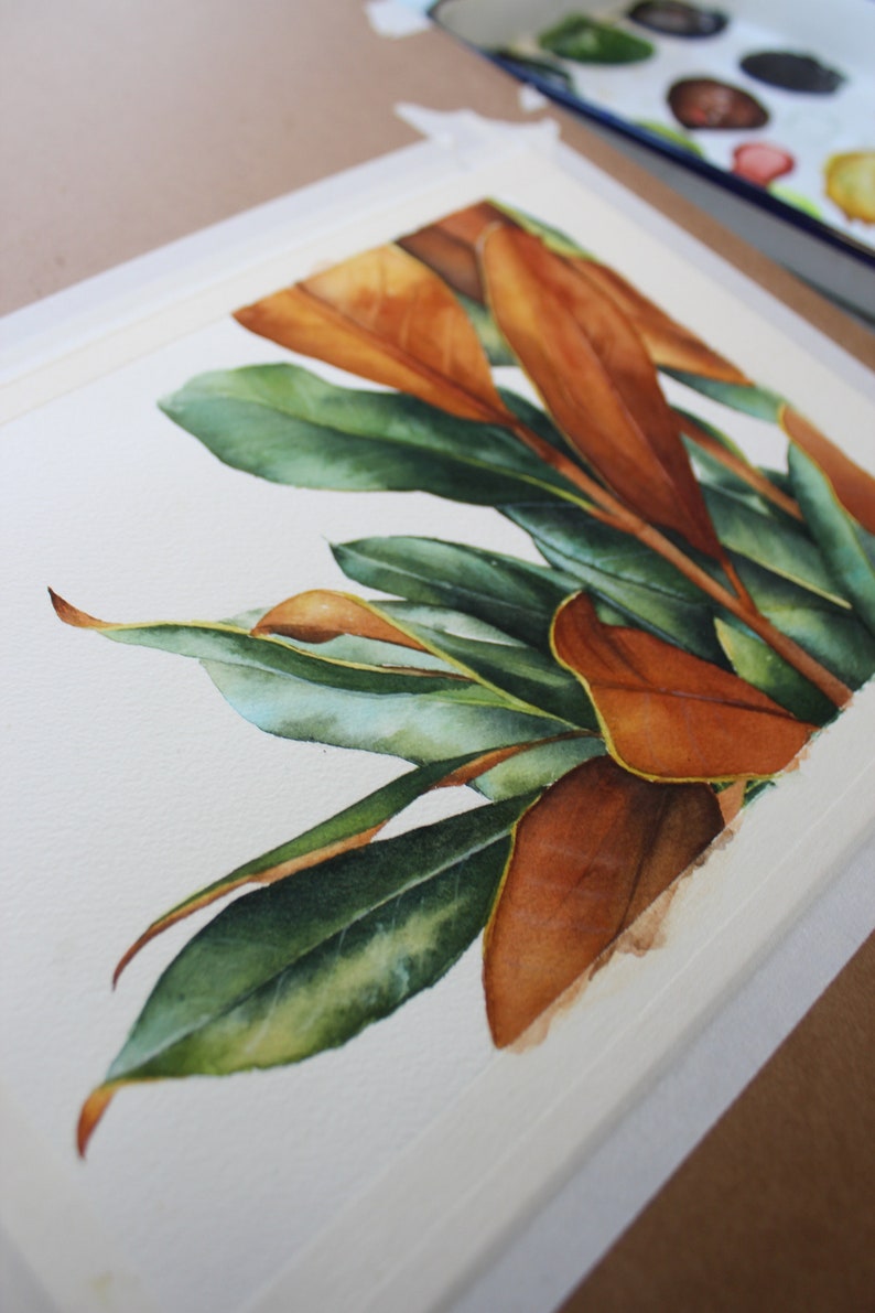 May include: Watercolor painting of a cluster of green and brown leaves. The leaves are arranged in a fan shape, with the brown leaves in the center and the green leaves surrounding them. The painting is done on a white background.