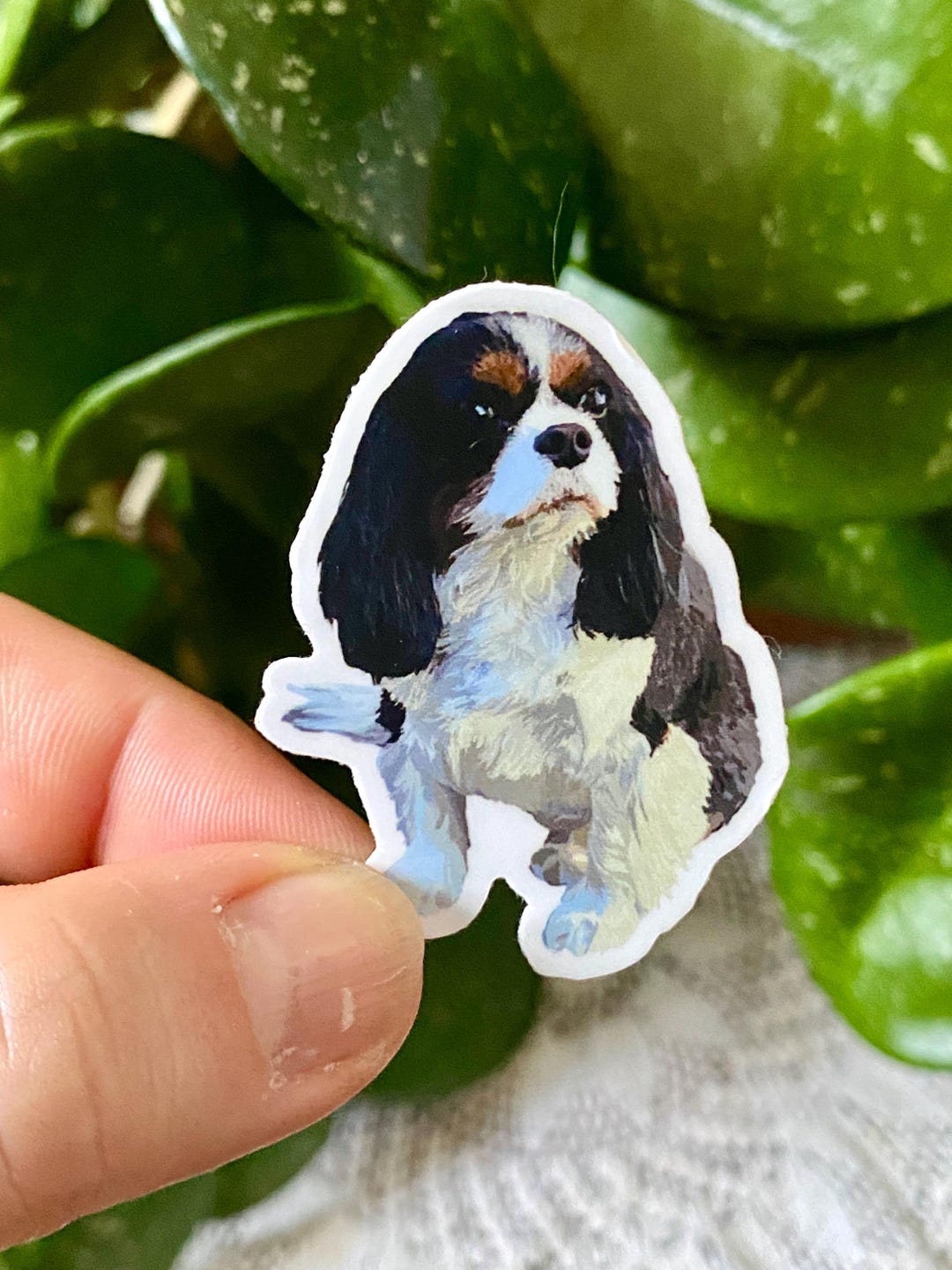 King Charles Cavalier Spaniel Sticker: Waterproof Vinyl Decal - Etsy ...
