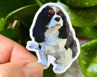 King Charles Cavalier Spaniel Sticker: Waterproof Vinyl Decal