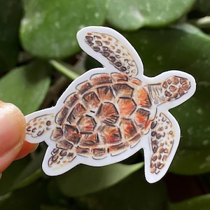 May include: A sticker of a brown and orange sea turtle with a white background.