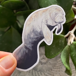 Sleeping Manatee Sticker: Waterproof Vinyl Decal, Florida Wildlife Art