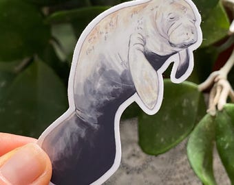 Schlafender Manatee Aufkleber: Wasserfester Vinyl Aufkleber, Florida Florida Wildtiere Kunst