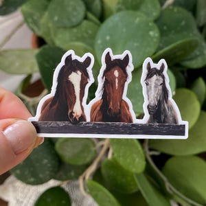 Horses by the Fence Sticker: Waterproof Vinyl Decal
