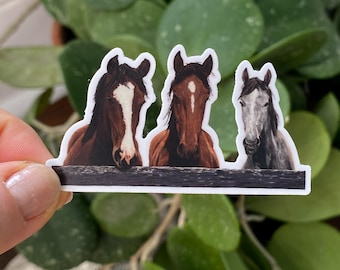 Horses by the Fence Sticker: Waterproof Vinyl Decal