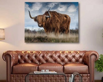 Highland cow canvas print with frame ready to hang, wildlife canvas, highland cow canvas gift,  Scottish cow canvas for home office decor