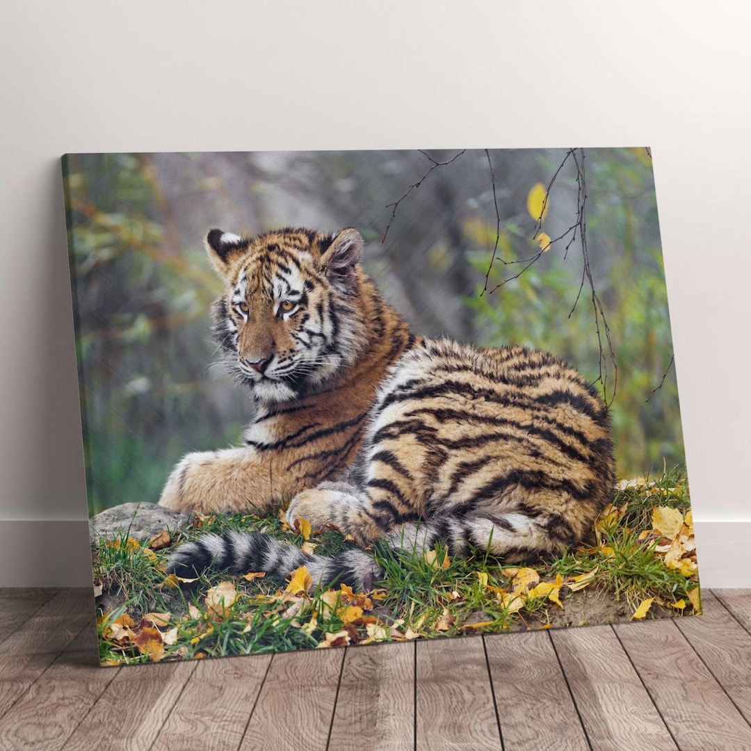 Tiger Canvas Wall Art Design, Poster Print Decor for Home & Office Decoration, Poster or Canvas