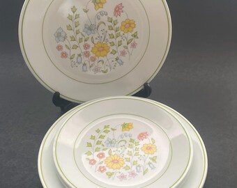 12-pc Corelle Vive ABSTRACT MEADOW Dinner & Lunch Plates, Bowls - NEW NIB RARE | #1998317368