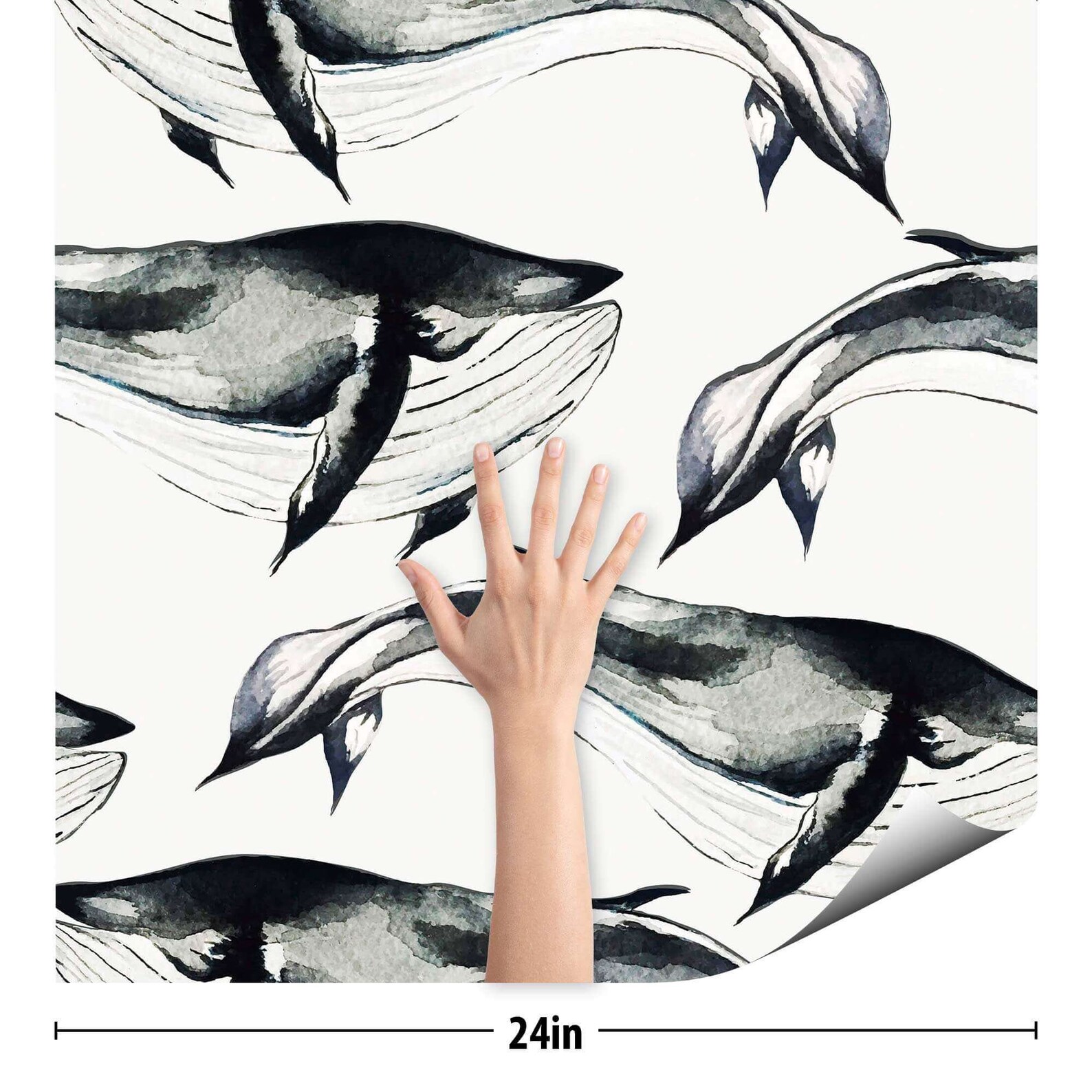 Black and White Whale Peel and Stick Removable Wallpaper 7880 - Etsy