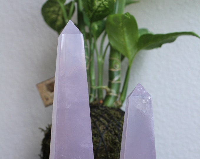 Griasol Rose Quartz