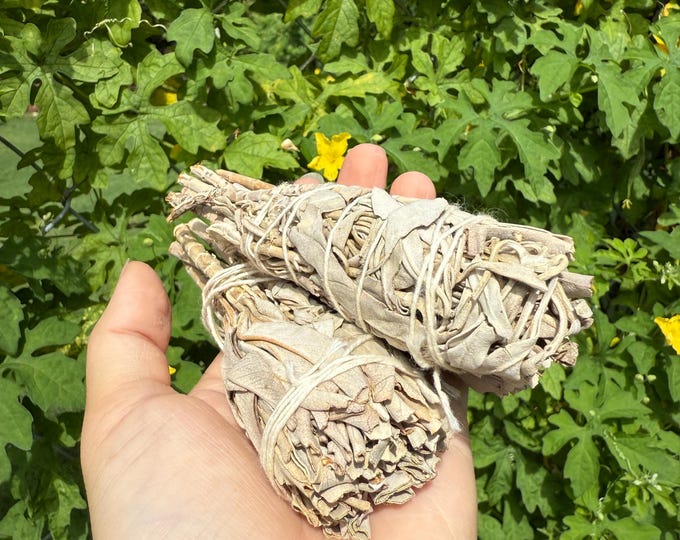 White Sage