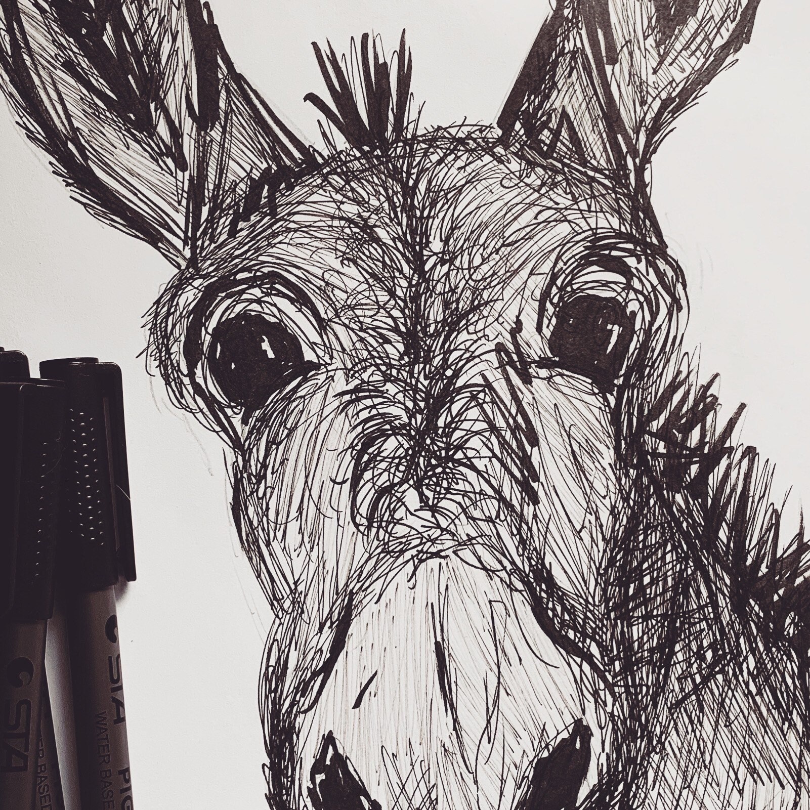 Donkey wall art PRINT Etsy