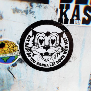 May include: A black and white sticker featuring a cartoon cat with heart-shaped eyes and drool. The text around the cat reads "SAY BABY DO YOU WANNA LAY DOWN WITH ME?" The sticker is round and placed on a textured surface.