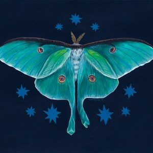 Art Print &quot;Luna Moth&quot; 8&quot;x10&quot; or 5&quot;x7&quot; Whimsigoth Nature Moth Celestial Witchy Illustration Fine Art Print