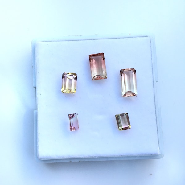 Brazilian Bi-Color Tourmaline. Cut Stone cushion shape tourmaline bi-colour