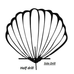 May include: A black and white line drawing of a seashell with the words "Half drill" and "Side Drill" labeled on the bottom.