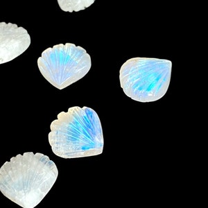 May include: Five iridescent white seashell shaped stones with a blue iridescent sheen.