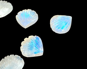 White Rainbow Carved Gemstone Briolettes: Shell Fan Shape, 11x10 mm
