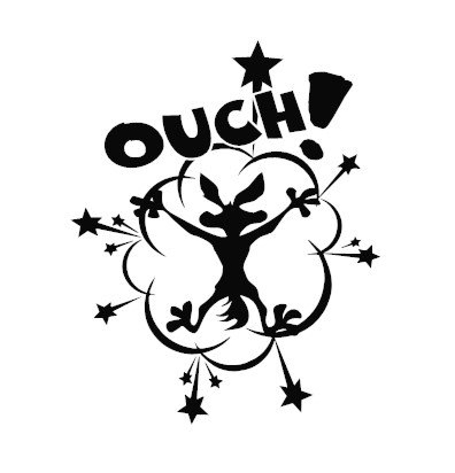 Ouch Decal Wile E. Coyote / RV Decal / Outdoor Decal / Etsy
