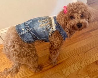 Dog fringe jean jacket
