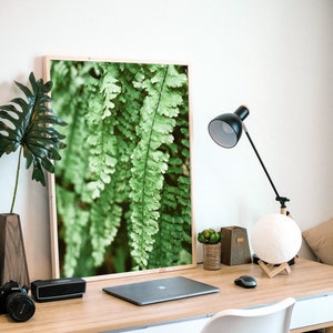 Green Ferns Forest Photo, Pacific Northwest Vertical Printable Wall Art, Instant Digital Download, Home Decor, Fine Art Photography