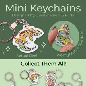 May include: Mini keychains featuring various reptile and amphibian designs, including a gecko, axolotl, and frogs. The keychains are designed by Coastline Pets & Pods and have a holographic sparkle effect. The text "Collect Them All!" is also visible.
