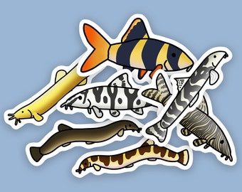 7pc, Weatherproof Loach Sticker Pack, Kuhli Loach Stickers, Clown Loach Stickers, Freshwater Fish Stickers, Batik Loach, Dojo Loach, YoYo