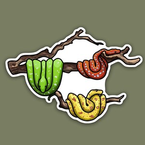May include: A sticker featuring three snakes of different colors coiled around a branch. The snakes are green, red, and yellow with black spots. The sticker has a white background and a brown branch.