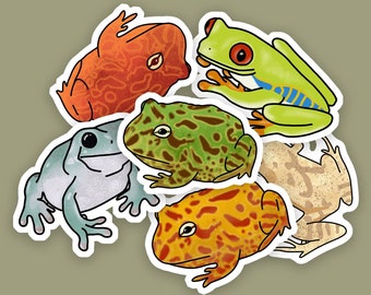 6 pcs - Weatherproof Frog Stickers, Tree Frog Stickers, Pacman Frog Sticker, Red Eyed Tree Frog, Pacman Frog, Dumpy Tree Frog, Nature Themed