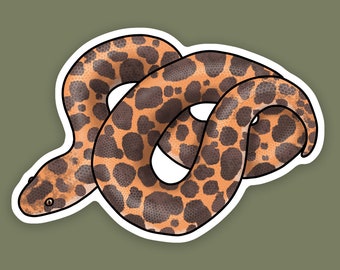 1 pc - Vinyl Kenyan Sand Boa, Gifts for Snake Mom and Dad, Reptile Gifts and Decor, Reptile Tank Decals, Water bottle Stickers, Sand Boa Art