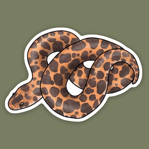 May include: A brown and orange snake with a spotted pattern, curled up in a circle. The snake is on a green background.