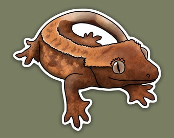 1 pc - Vinyl Crested Gecko Sticker, Crested Gecko Decal, Gecko Stickers, Cute Gecko Sticker, Reptile Lover Gift, Gecko Decal, Harlequin