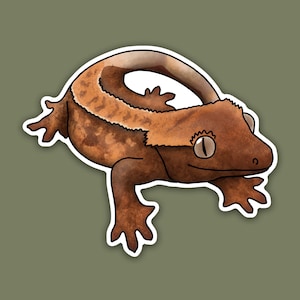 1 pc - Vinyl Crested Gecko Sticker, Crested Gecko Decal, Gecko Stickers, Cute Gecko Sticker, Reptile Lover Gift, Gecko Decal, Harlequin
