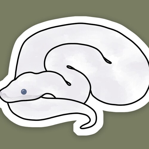Ball Python Sticker - Etsy