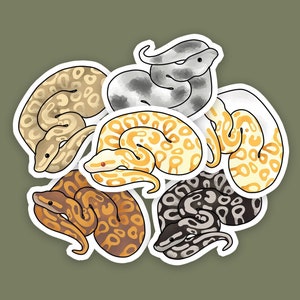 6 Pcs Ball Python Stickers Ball Python Decal Snake - Etsy