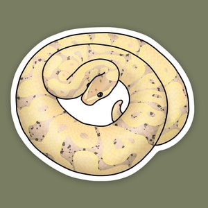 1 pc - Vinyl Banana Ball Python Sticker, Ball python decal for water bottle, stickers for laptops, gift for snake dad and mom, reptile lover