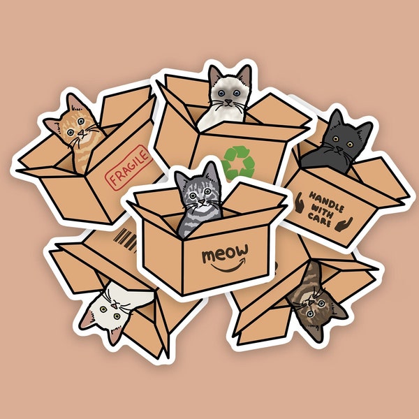 6pcs, Weatherproof Cat Stickers, Cat in Box Sticker, Cat Sticker Pack, Gift for Cat Lover, Pet Stickers, Tabby Cat Stickers, Cat Owner Gift