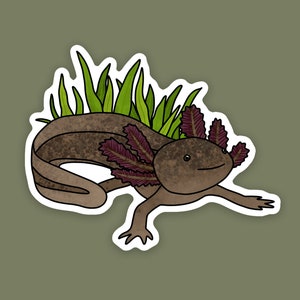 1 pc - Vinyl Brown Axolotl Sticker, Cute Axolotl Art, Gifts for Amphibian Lovers, Axolotl Mom, Salamander Stickers and Gifts, Freshwater