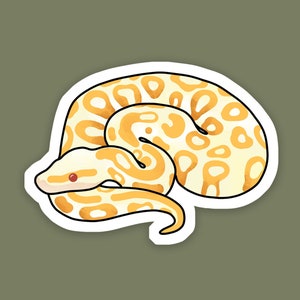 Removeable Wall Decal Snake Ball Python Cold Blooded Prints Sticker 014WTF Removeable Wall Decal Snake Ball Python Cold Blooded Prints Sticker 014WTF