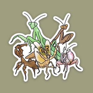 1 pc - Vinyl Mantis Crew Sticker, Orchid Mantis, Ghost Mantis, Spiny Flower Mantis, Mantid Lover Art, Insect Decal for Water Bottle