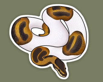 1 pc - Vinyl Pied Ball Python Sticker, Ball python decal for water bottle, stickers for laptops, gift for snake dad and mom, reptile lover