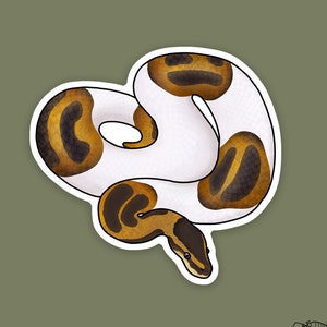1 pc - Vinyl Pied Ball Python Sticker, Ball python decal for water bottle, stickers for laptops, gift for snake dad and mom, reptile lover