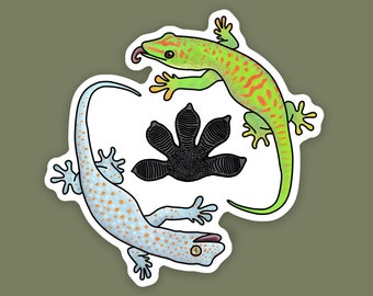 1 pc - Vinyl Tokay and Day Gecko Sticker, Gecko Lover Gifts and Decals, Reptile Mom, Gecko Dad, Cute Animal Art for Laptops, Gecko Footprint