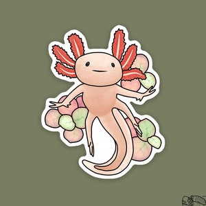 1 pc - Vinyl Pink Axolotl Sticker, Cute Axolotl Art, Gifts for Amphibian Lovers, Axolotl Mom, Salamander Stickers and Gifts, Freshwater